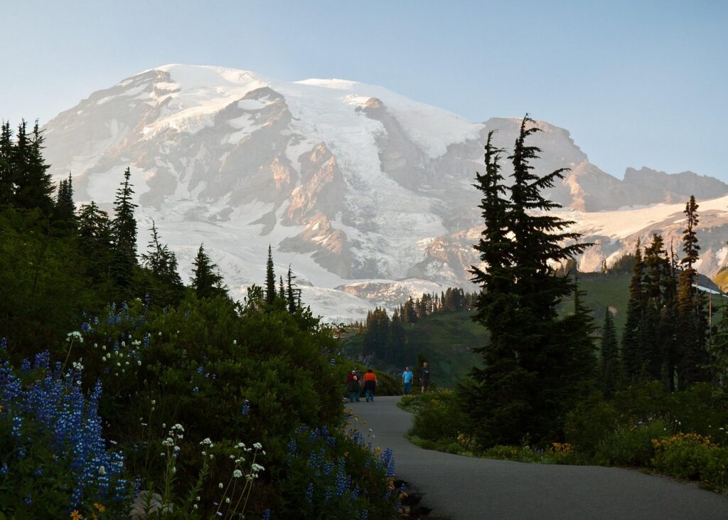 Best of Mount Rainier NP: All-Inclusive Small-Group Tour with Lunch