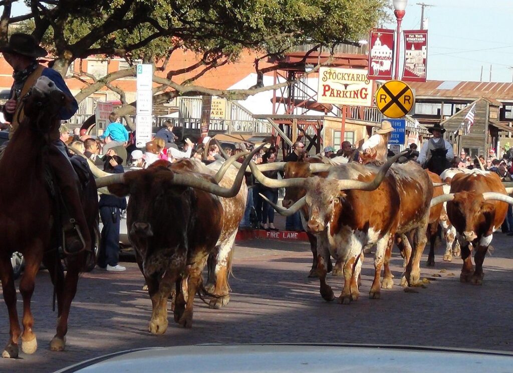 Fort Worth Historical Tour from Dallas: Stockyards & Cowboy Heritage