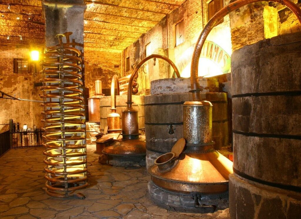 Hacienda Casa Herradura: Tequila & Heritage Tour from Guadalajara
